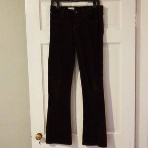 Brown Brushed Cords - GAP